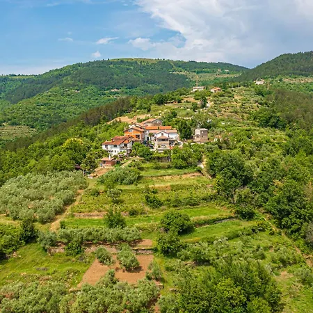 Belveder Motovun With Heated Pool 度假居