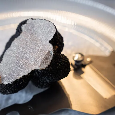 Belveder Motovun With Heated Pool * Livade