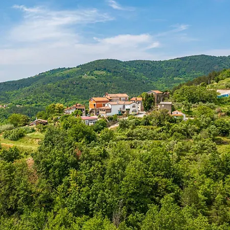 Belveder Motovun With Heated Pool 度假居 *